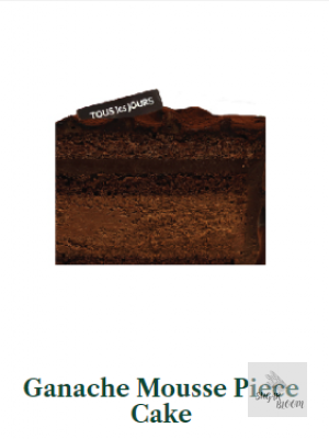 Ganache Mousse Piece Cake