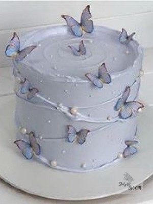 Butterfly Birthday Cake