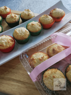 Coconut Macaroons (Set)