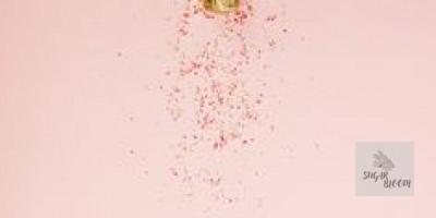 MỪNG QUỐC TẾ PHỤ NỮ