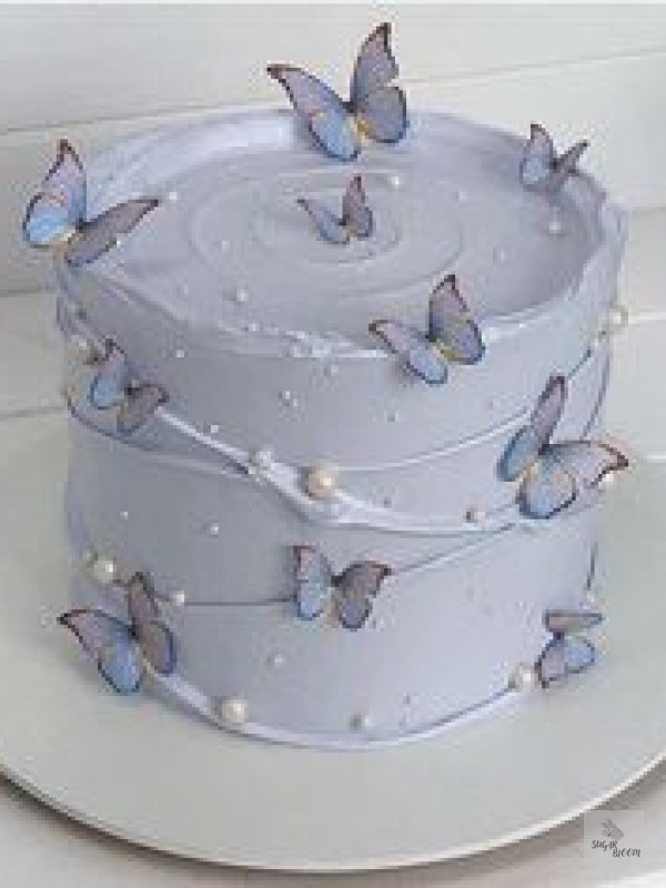 Butterfly Birthday Cake