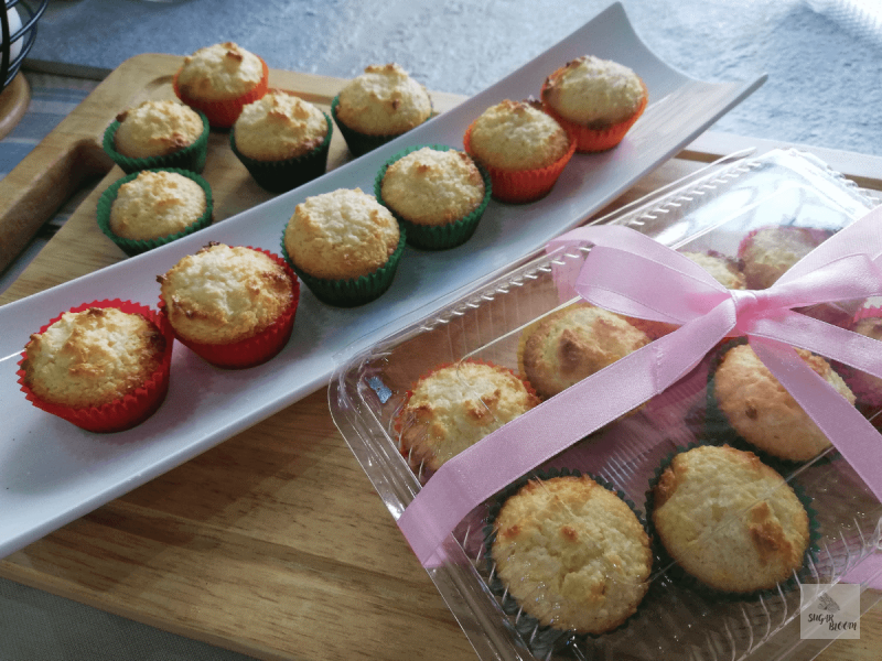 Coconut Macaroons (Set)