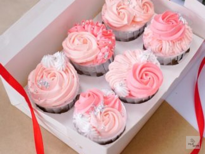 Pink Cupcake Set