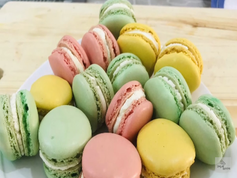 Cheese Macaron